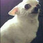 Snipy_Boi 1234_YT
