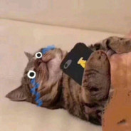 蛋炒饭里不加蛋