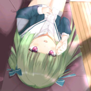 小丛雨的狗修金