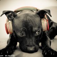 J稀里糊涂有点迷糊F