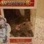 Skaven Gaming
