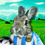Crouching Rabbit