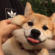 少年没有乌托邦