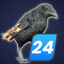 24 bird