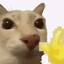 Avatar of Chris