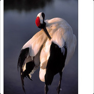 你拿小电半天打满的甲