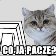 CoJaPacze[PL]