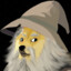 dumbleDoge