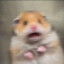 白
