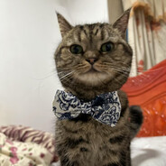 阳光射不到的地方欧尼酱可以