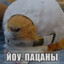 йоу пидоры