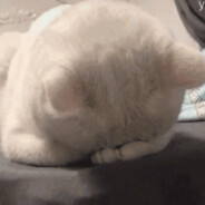 人类瞄准边角料