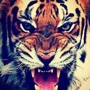 001 - steam id 76561198289125269