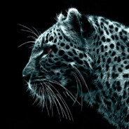 a1MMM - steam id 76561198439802979