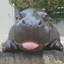 HappyHippo