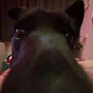 Avatar Syzyf