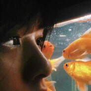 锦余小姐拜托了