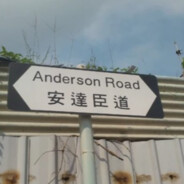 Anderson-0411