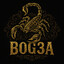 Bog3a
