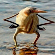 ТараканЧИК