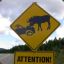 Moosecrazy