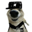 dog酱