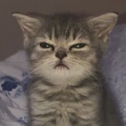 Владимир Молостов avatar