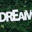 The Dream ❤