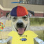 Clyde