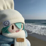 凉。