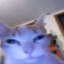 Medved