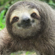 Gqizzy - steam id 76561198257708548