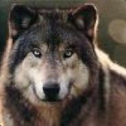 Blutwolf - steam id 76561197960796612