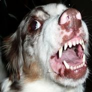 Testsieger - steam id 76561197964424306
