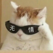 土豆牛肉盖浇面