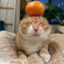 purpl