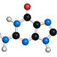Nitrogenous base