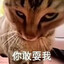 你敢耍我