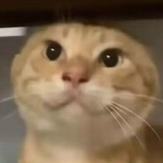 涩谷站没有秋田