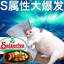 S属性大爆发