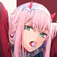 Z X V E