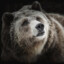 Grizzly's avatar