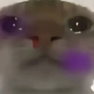 马可波罗双枪盖饭