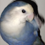 神秘大清朝养鸟人