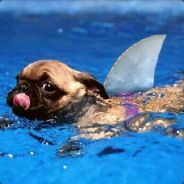 Moiso - steam id 76561197964448731