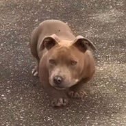 Scrappy Doo