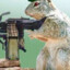 Squirrelgunner