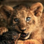 TheLionStrikes