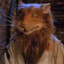 Master Splinter