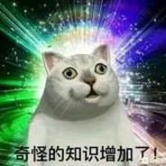 20岁欧皇没有媳妇